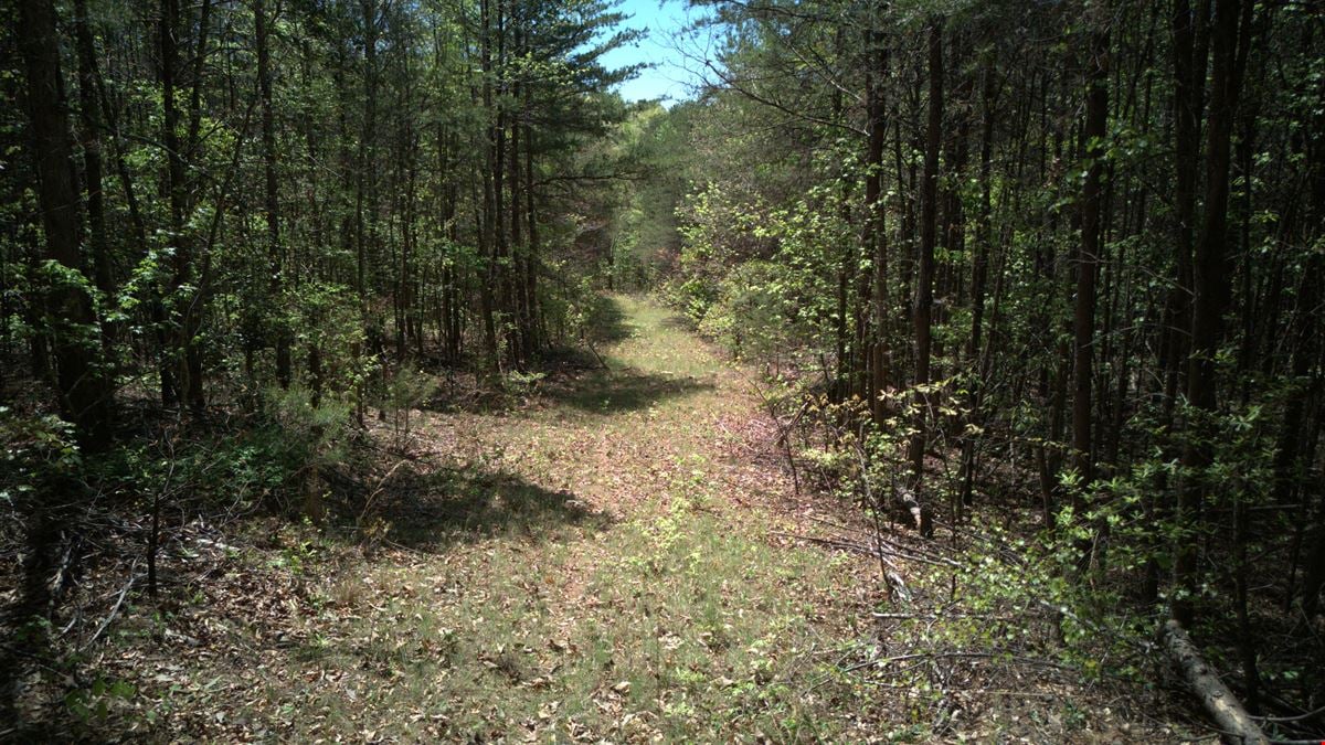 ± 34.48 Unrestricted Acres Near Lake Keowee