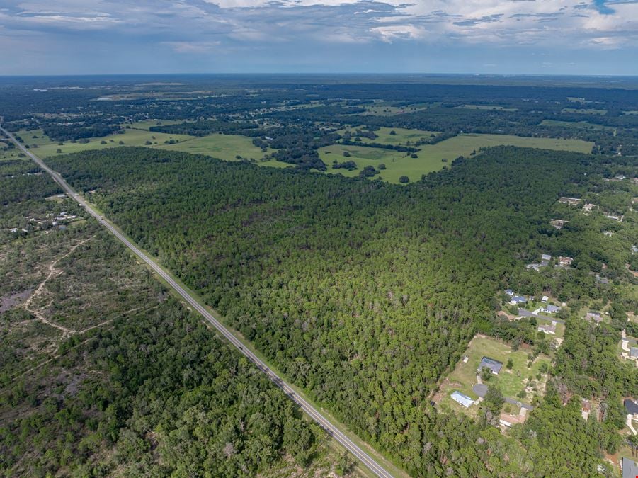 Floral City Recreation & Investment Property