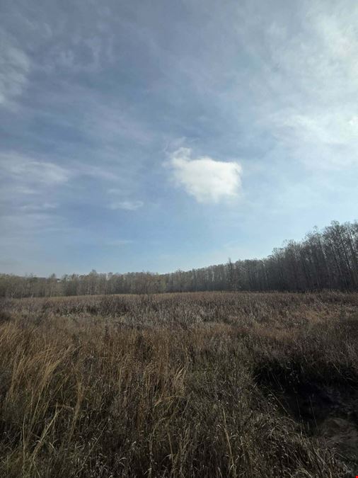 820± Acre Hunting & Recreational Property in Perry FL