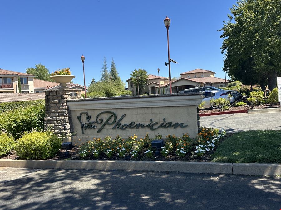 The Phoenician