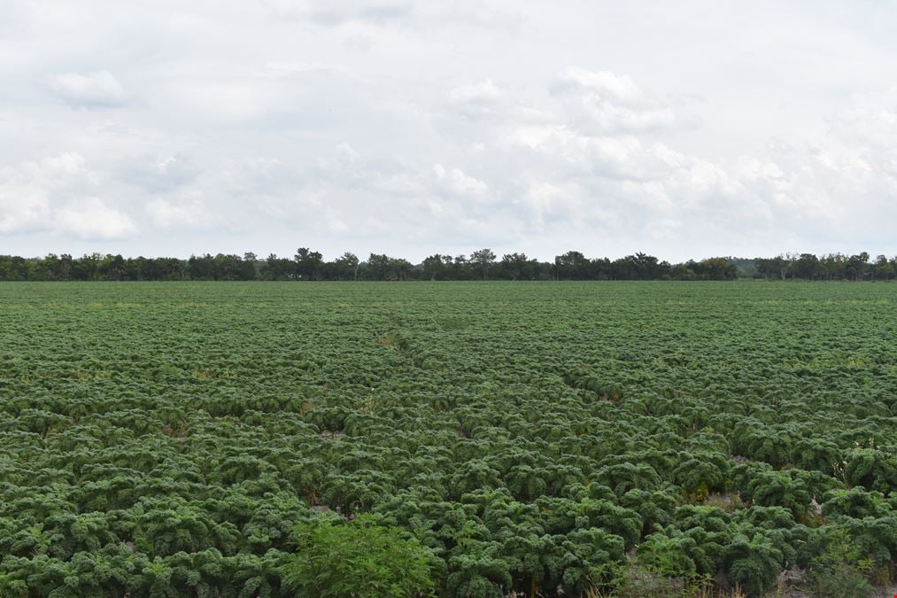 Bunnell 40 Acre Farm