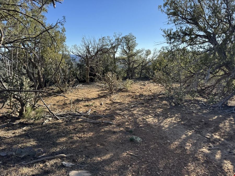 201 Pinon Trail