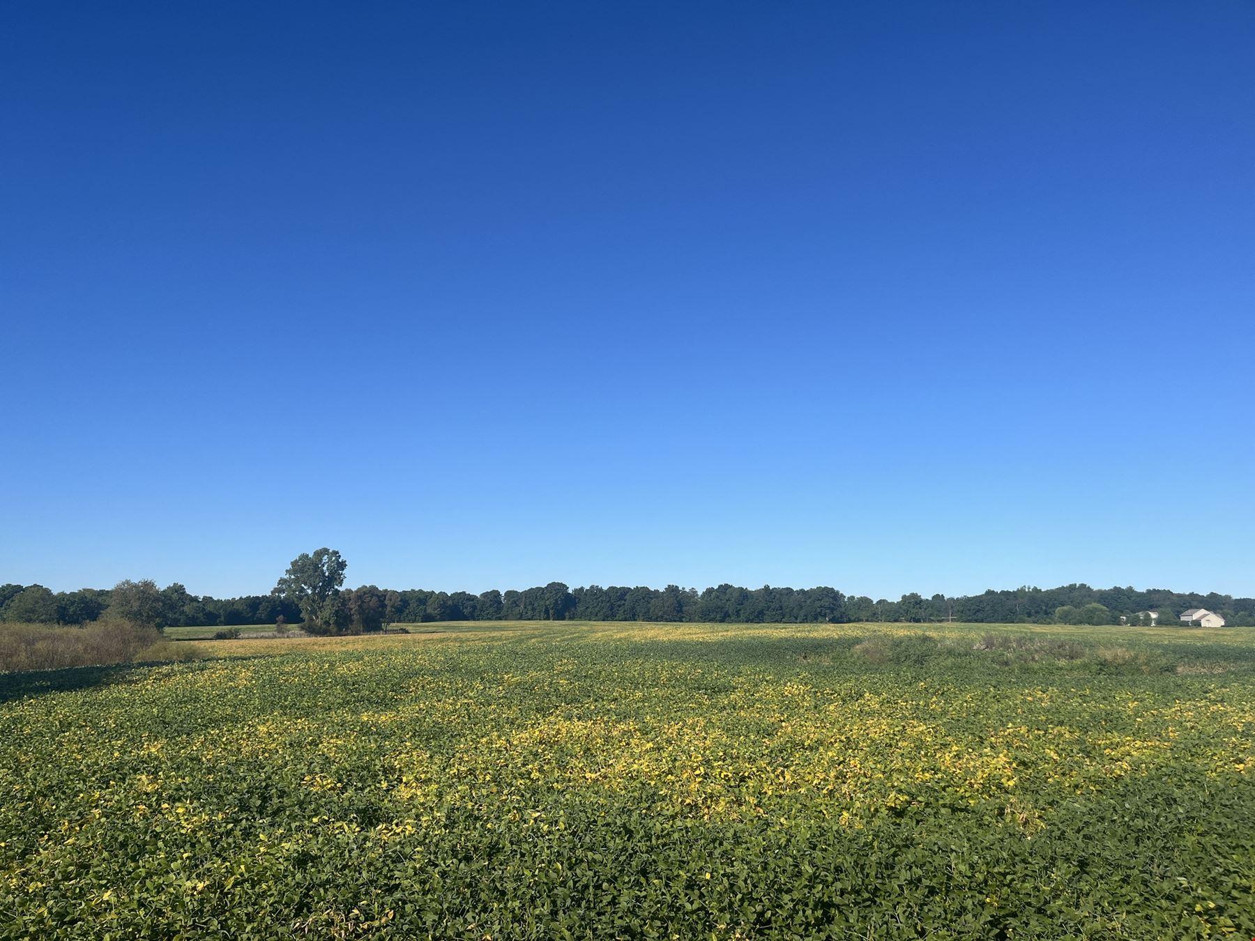 79 Acres Conservation Easement Land for Sale in Dexter