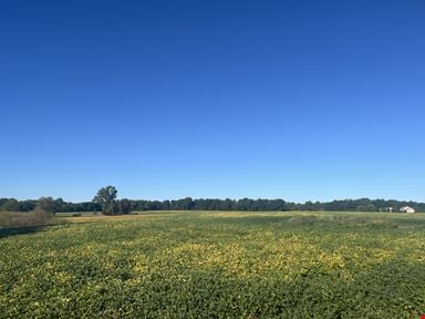 79 Acres Conservation Easement Land for Sale in Dexter