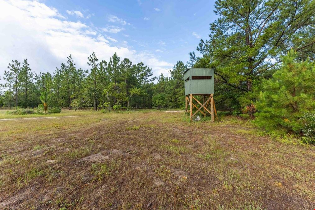 111+/- Acres of Recreational Tract Geared for Hunting on the Aiken and Barnwell County Line