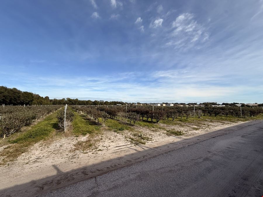 Auburndale US-92 Commercial Land