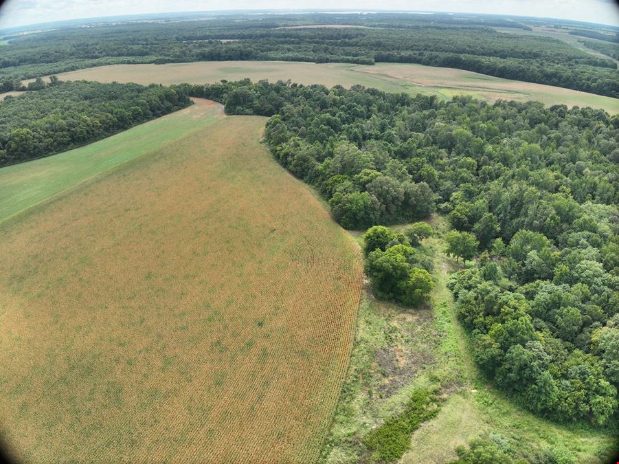 Prime Residential/Commercial Development Land