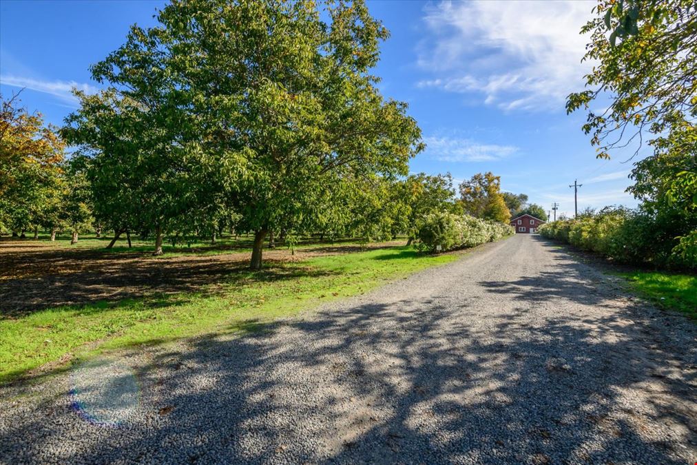 Organic Walnut Orchard & Processing Facility