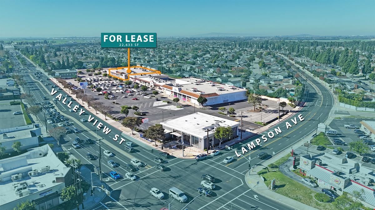 End-Cap Anchor Space (Former Rite Aid Location)
