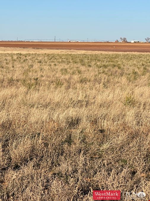 640 Acres North Lynn Co., TX 79373