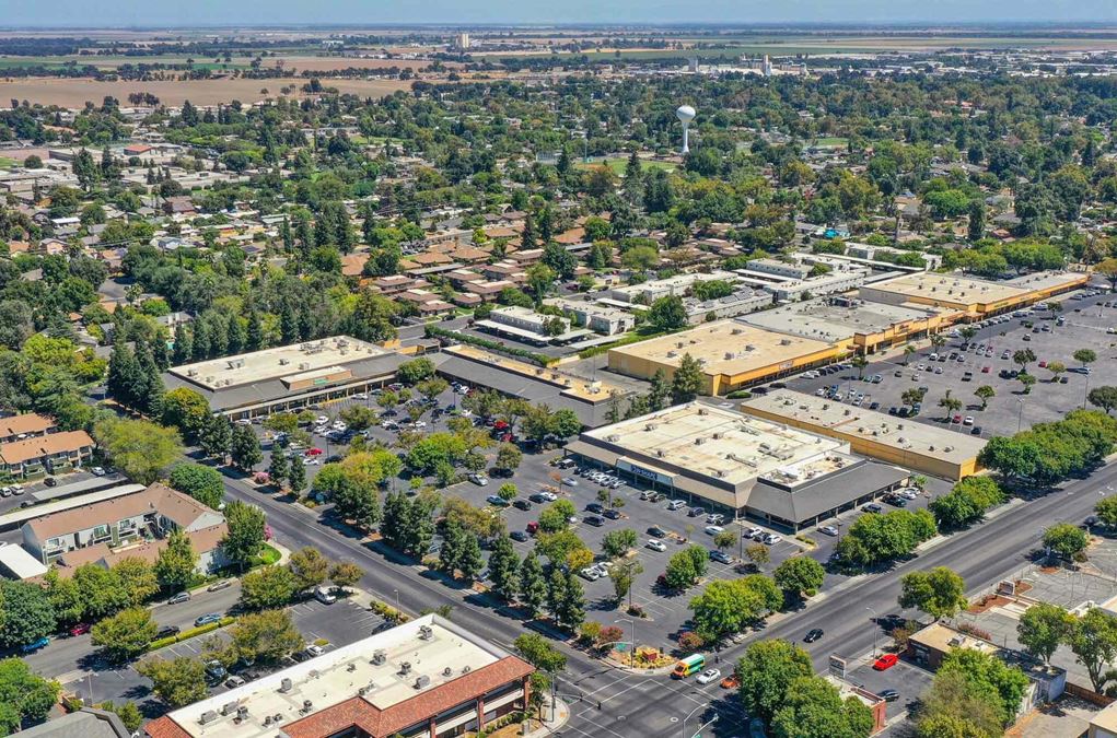 Shade Tree Plaza