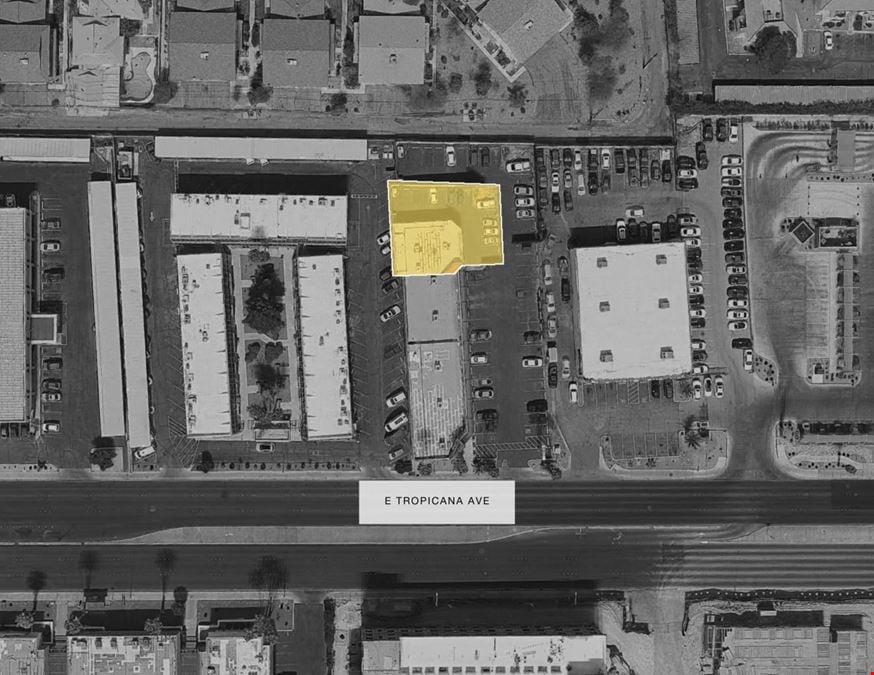 1550 E Tropicana Ave