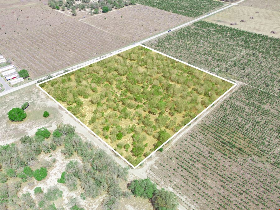 9.65± Acres on Friedlander Rd | Lake Wales- Polk County | Rural Homesite / Ag / Recreation