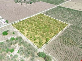 9.65± Acres on Friedlander Rd | Lake Wales- Polk County | Rural Homesite / Ag / Recreation