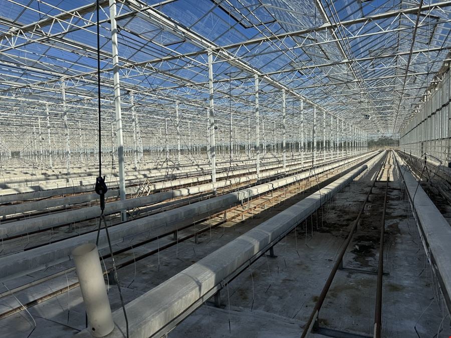 Large-Scale Industrial Greenhouse Operation