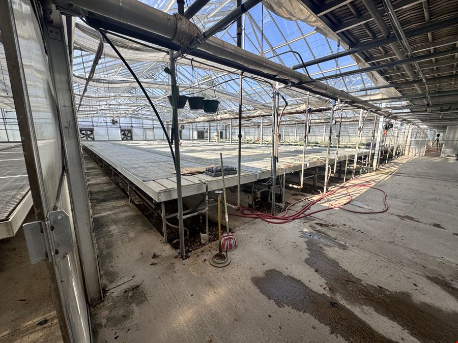 Turn Key Greenhouse Operation
