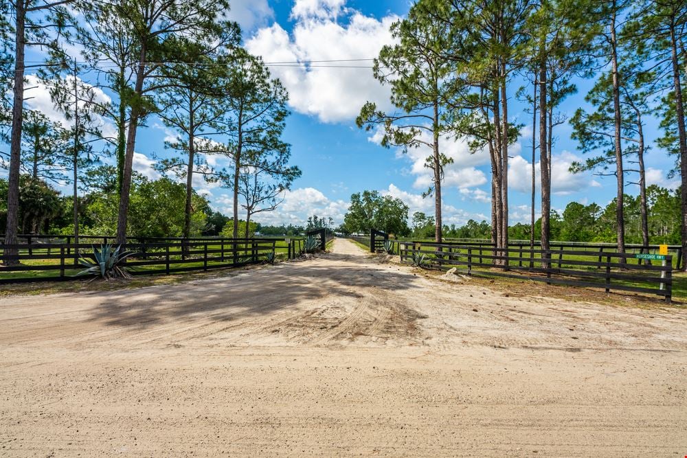 Serendipity Stables