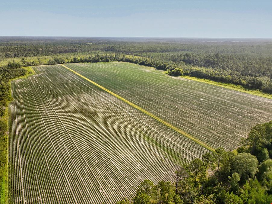 Berrien County Farm and Home