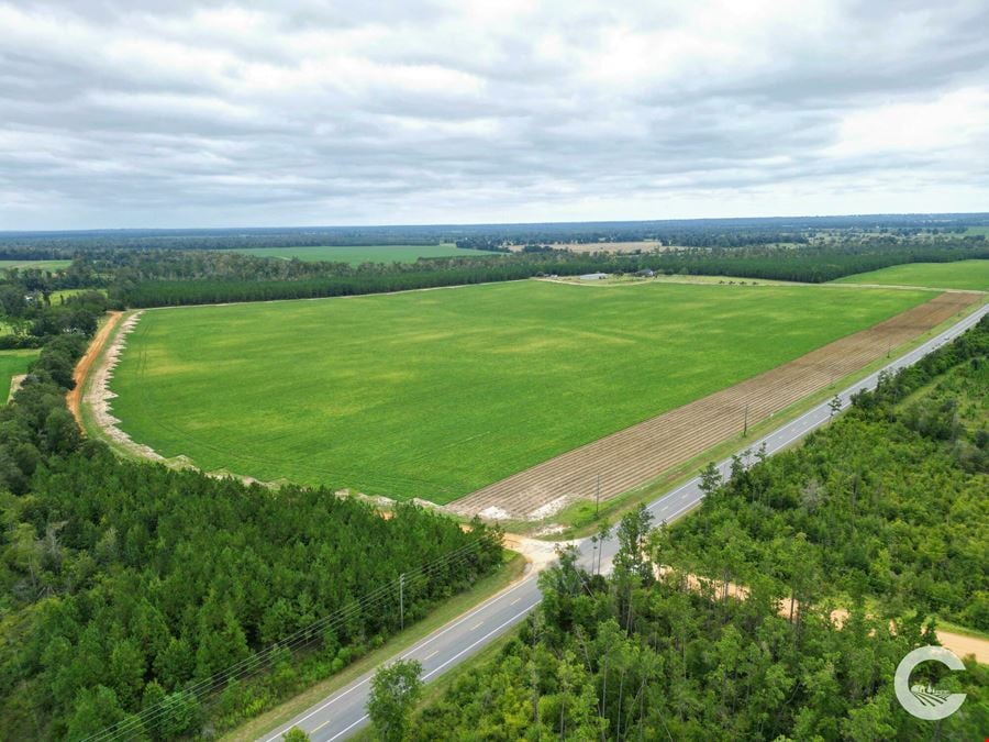 385 +/- Acre Rocky Creek Tract in Marianna, FL