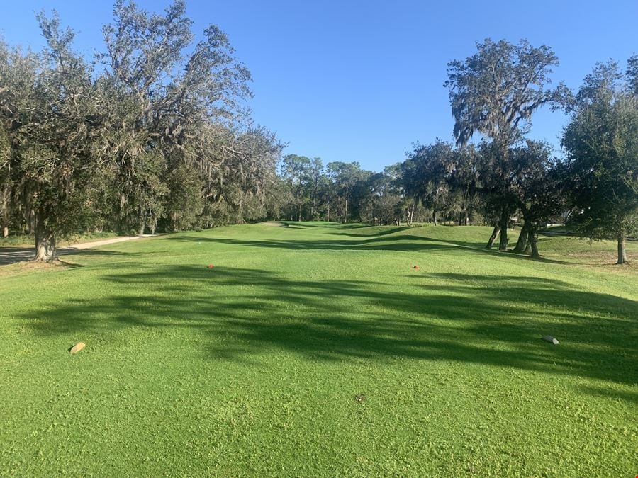 Central Florida Development Land