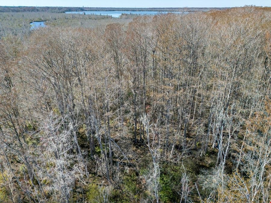 Leesburg 80-Acre Recreational Tract