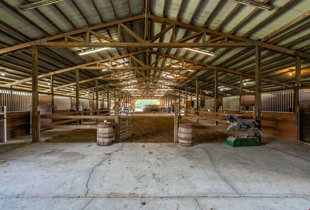 Serendipity Stables
