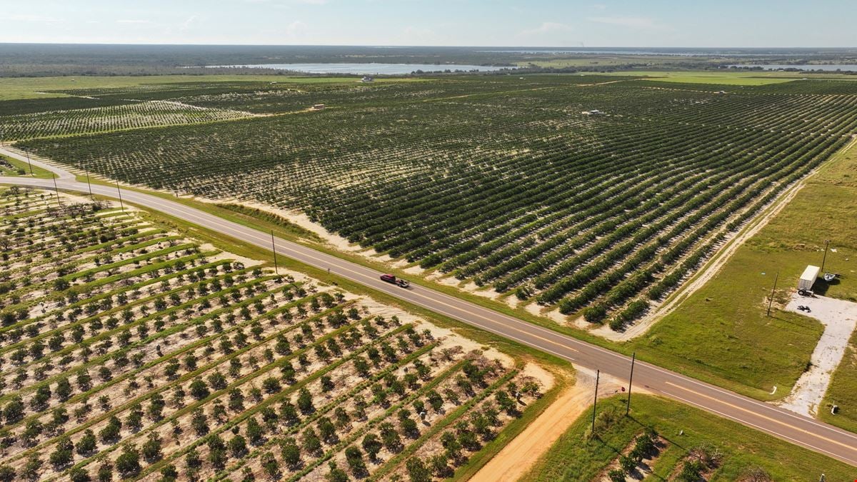 Auction - 584 Acres in Polk County