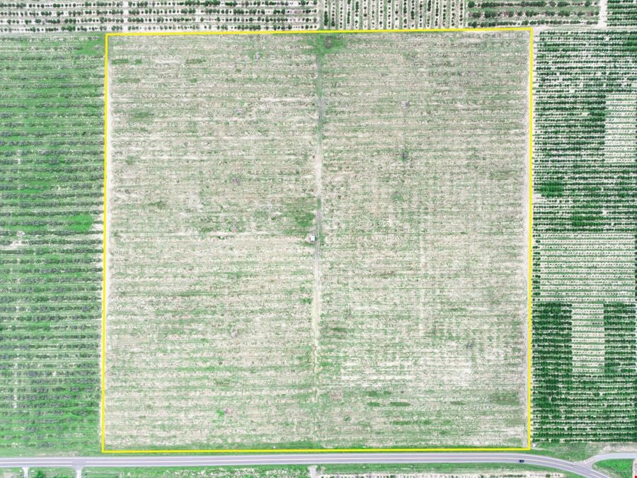 Scenic Highway Frostproof 39 Acres
