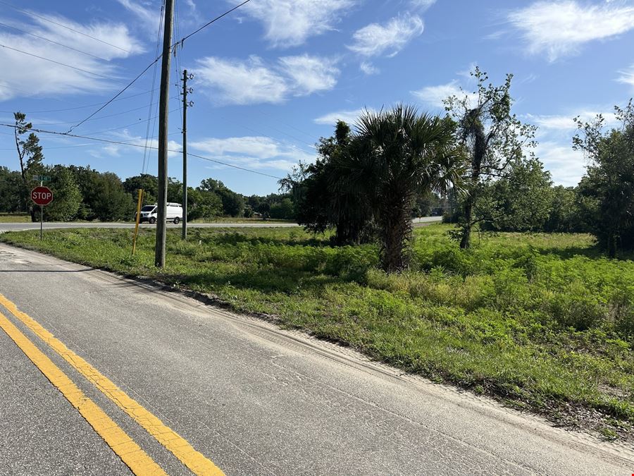 CR-48 and Guava Street Development Land
