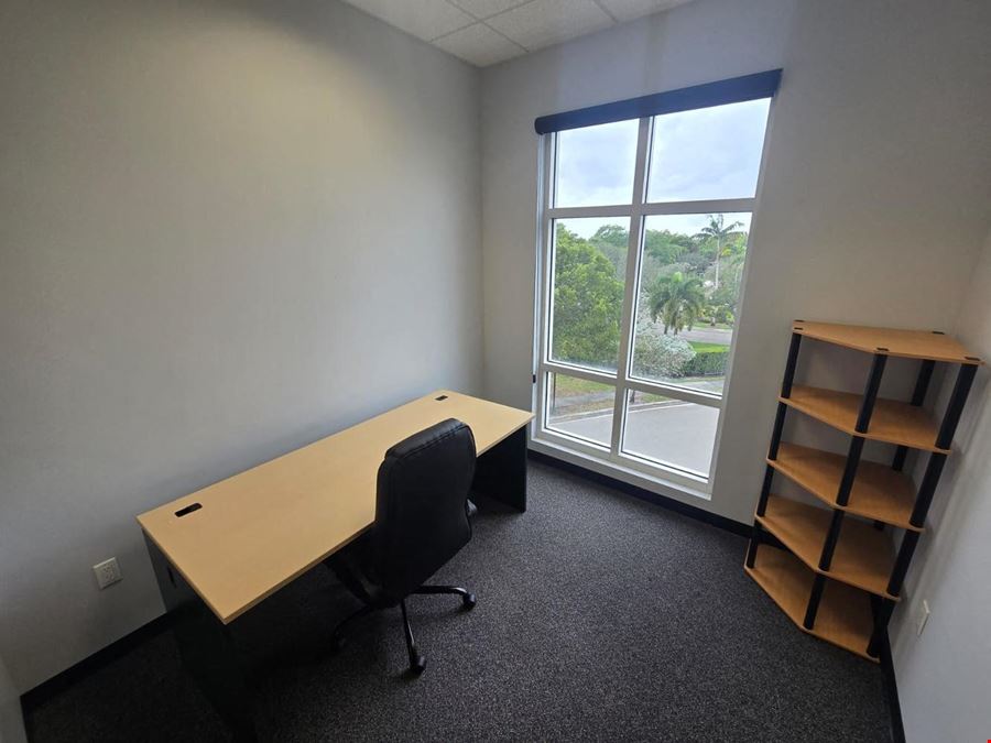 Professional Office