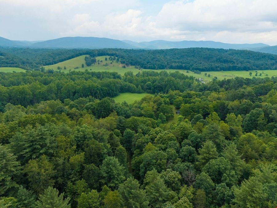 ADJOINING NATIONAL FOREST - 54.5 ACRE OFF-GRID MOUNTAIN RETREAT W/ CABIN