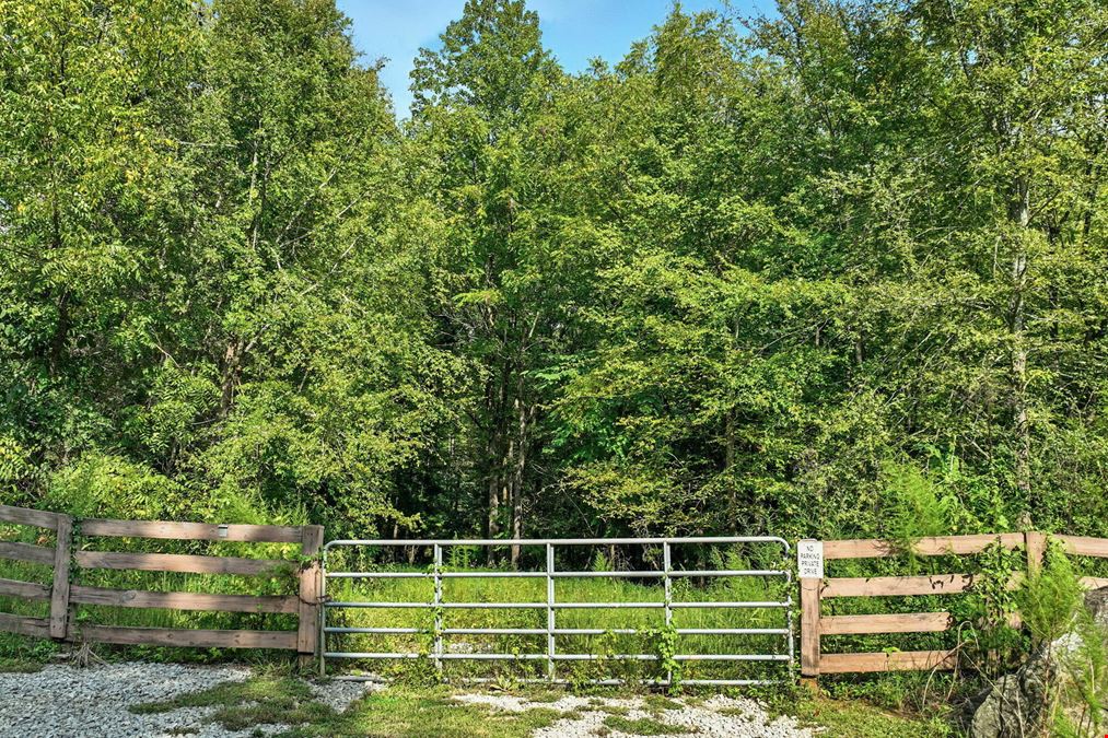 Land for Sale