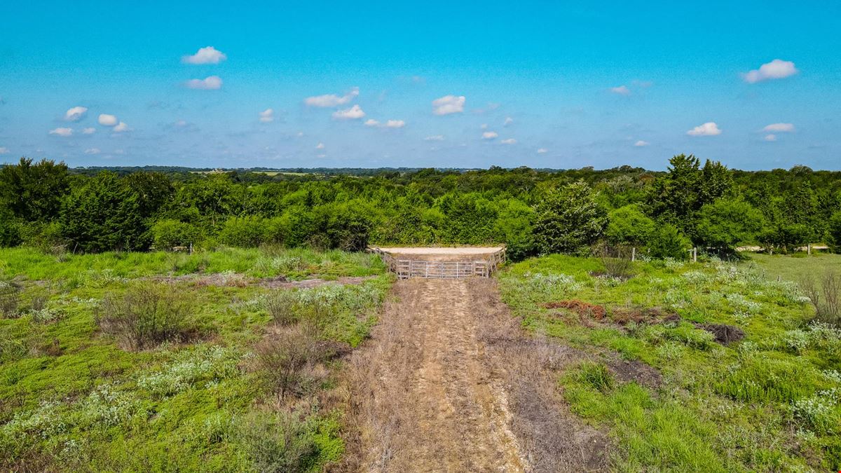 14909 Newman League Road
