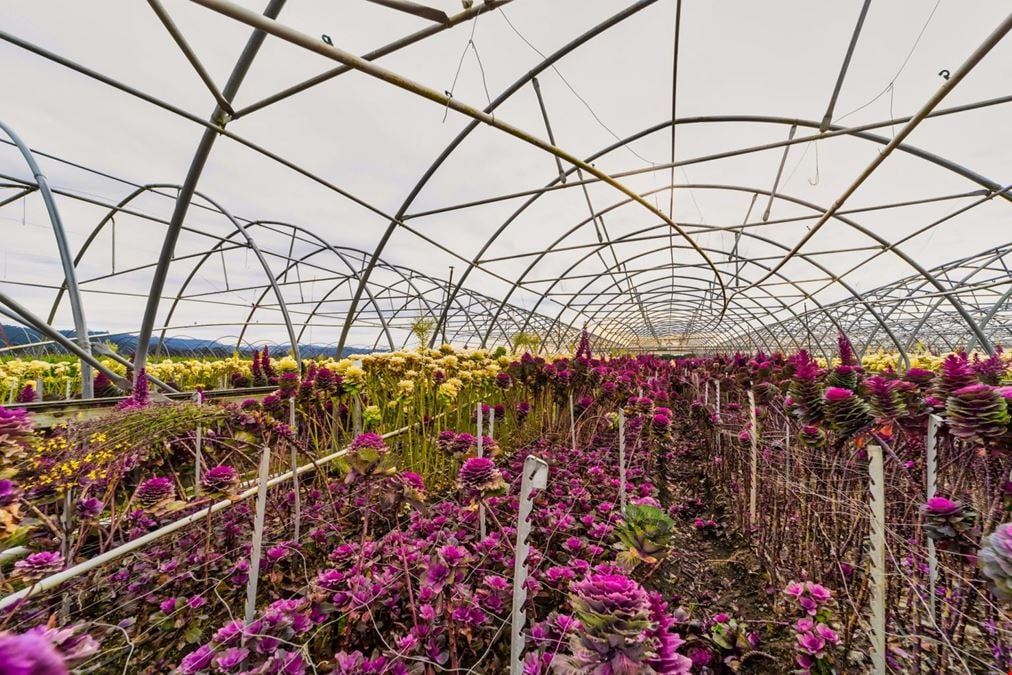 Arcata Greenhouses