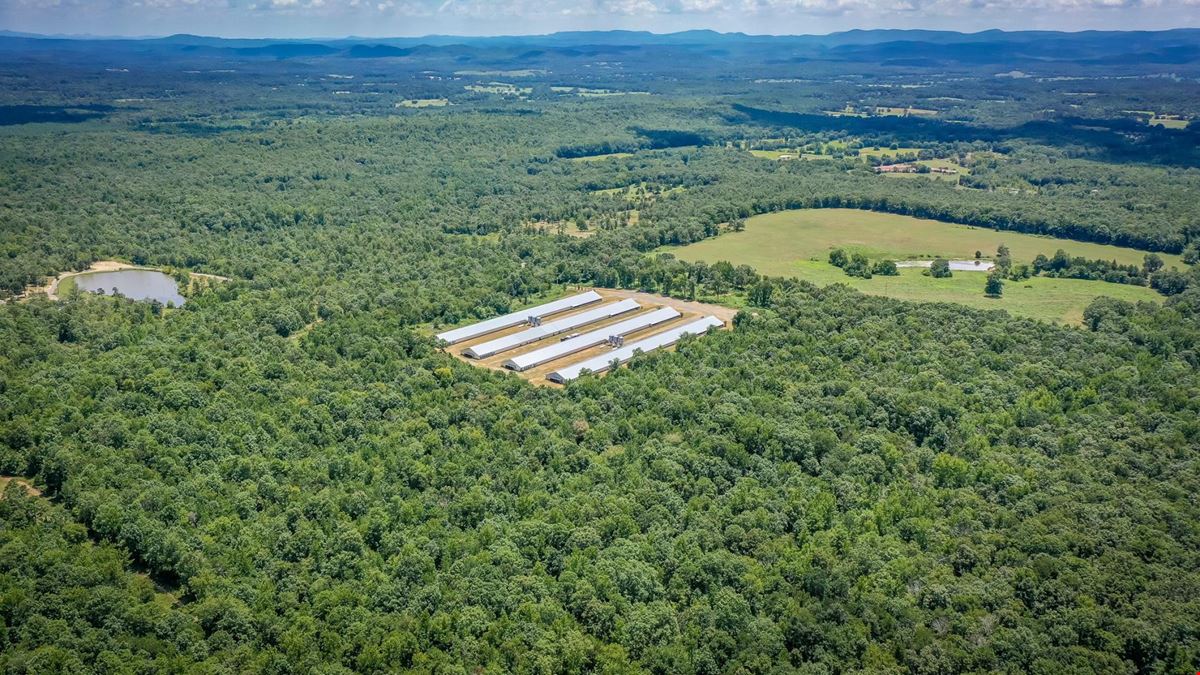 Mena AR Broiler Chicken Farm