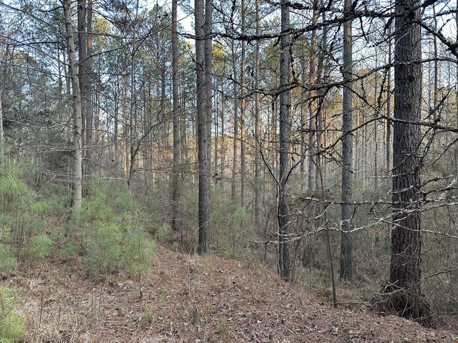 Mt Zion Road - 34.26 Acres