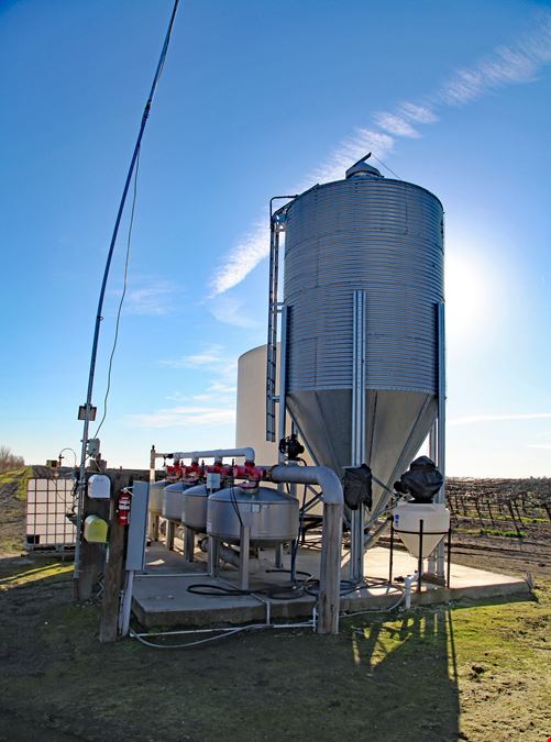 Courtland Vineyard