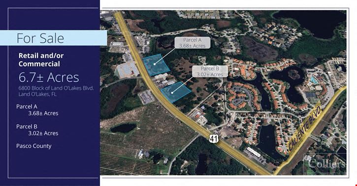 Two Parcels for Sale in Land O'Lakes, FL