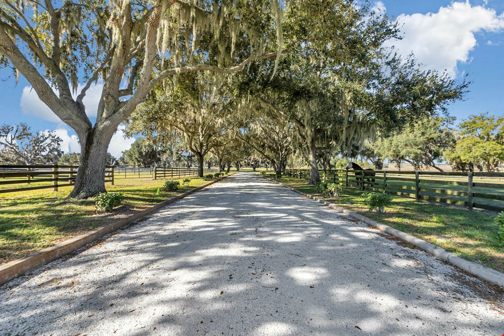 Sheik Island Farm