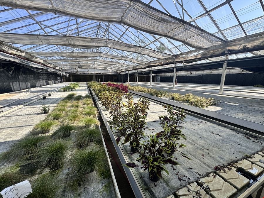 Turn Key Greenhouse Operation