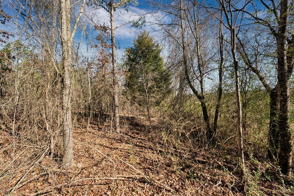 2600 Block Park Avenue, Lot 2L, Hot Springs, AR 71901
