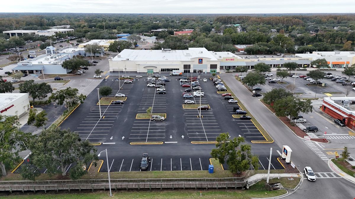 ALDI Sublease Tampa (N Dale Mabry)