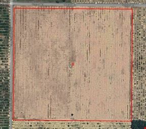 40.67± Secluded Acres Estate or 5-Acre Homesites