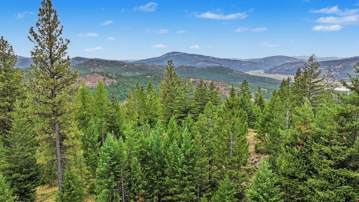 40 Wooded Acres near Kalispell: Classic Montana Forty