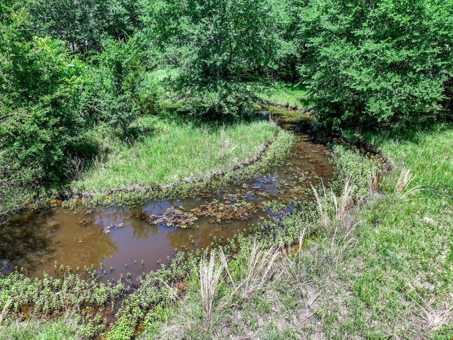 Land for Sale in Wills Point