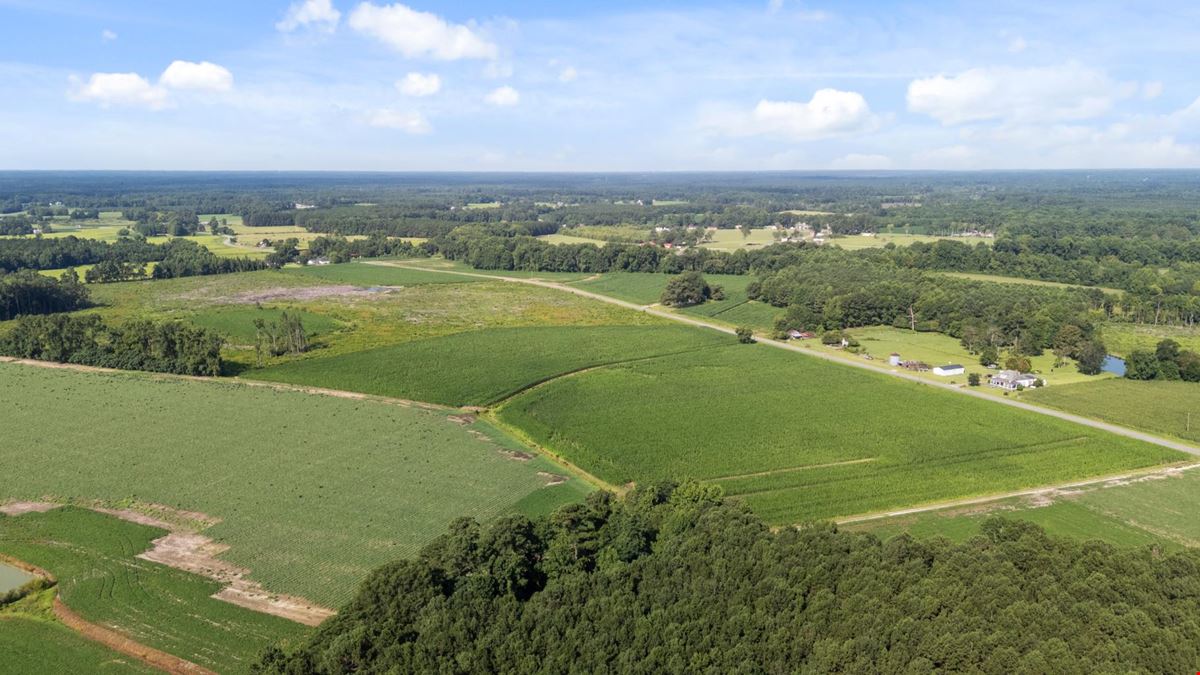 Smithfield, NC- 144 acre tract