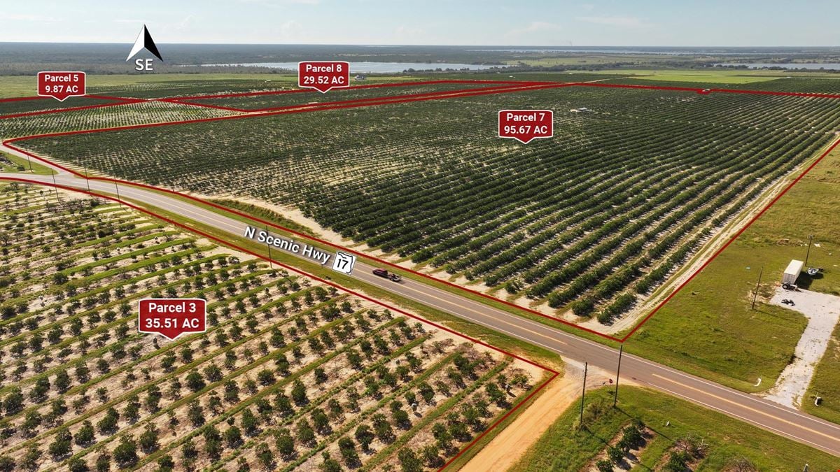 Auction - 584 Acres in Polk County