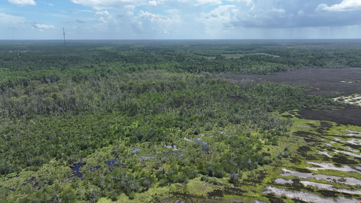 113 Marshfront Acres in McIntosh County Georgia