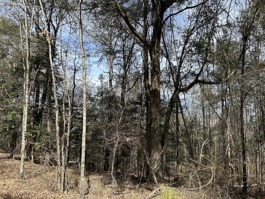 Garland Belmont Tract