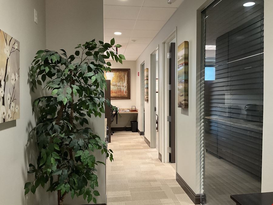 South Tampa Professional Office